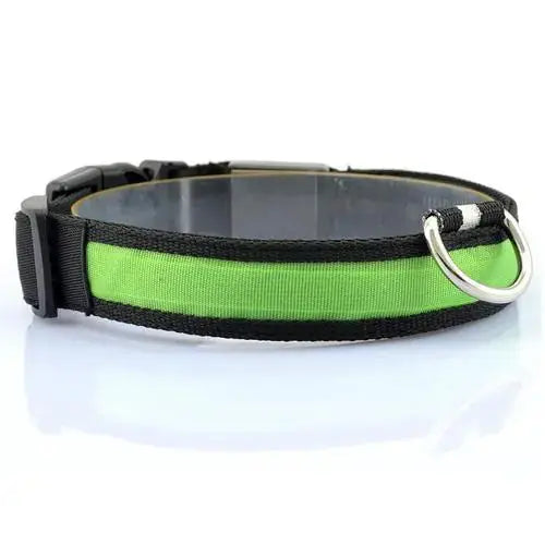 LED Dog Collar with Light Strip for Illumination Fluffy Friends