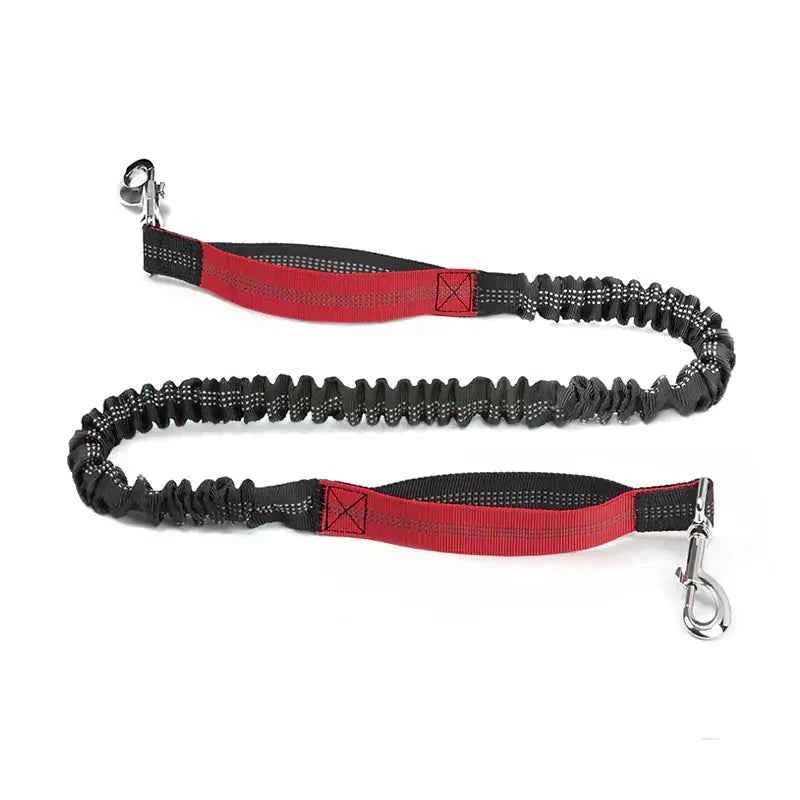Cross-Border Amazon Pet Running Waist Bag with Lead - Elevate Your Walks
