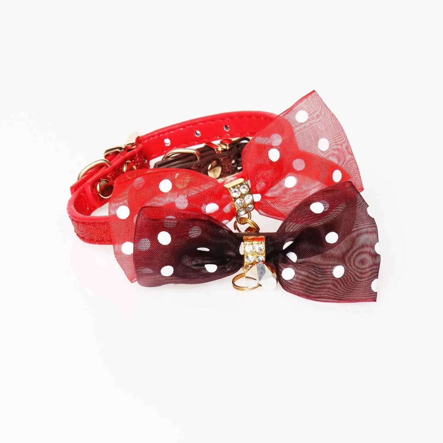 Bright Colours Dog Collar – Style and Safety for Your Pet