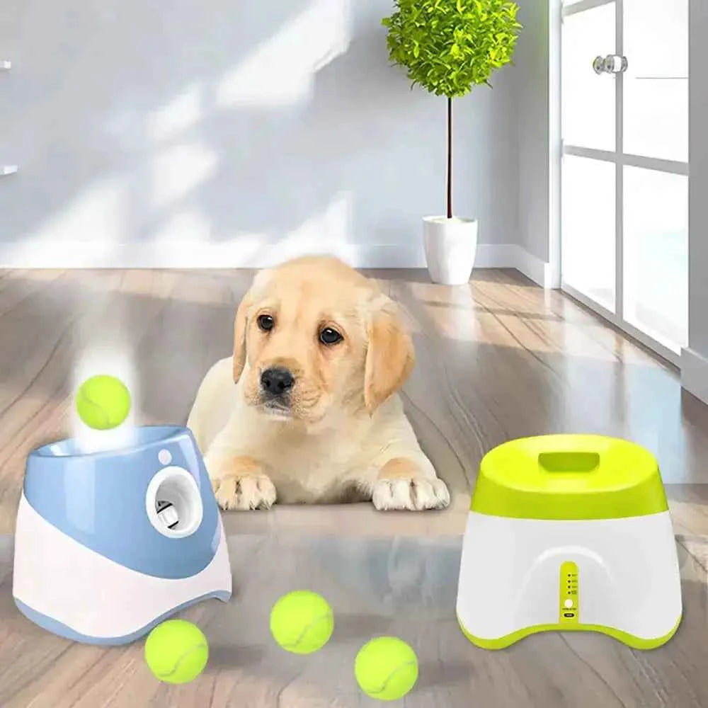 Pet Tennis Ball Launcher | Automatic Fetch Toy for Dogs