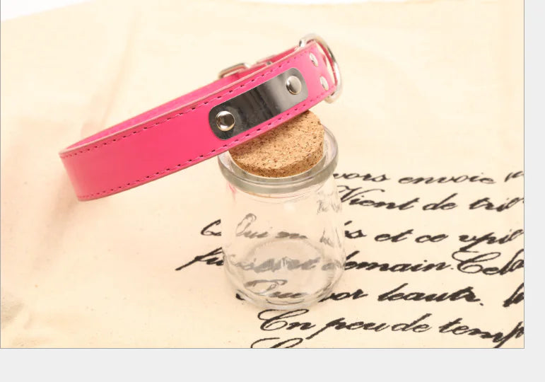 Personalized Dog Collar - Pet Accessories | Custom Pet Collar