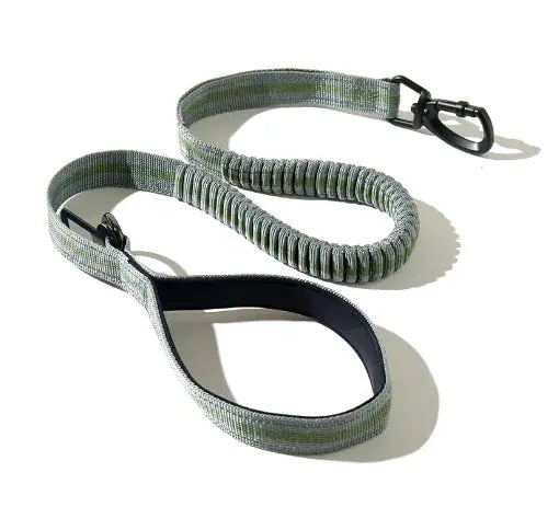 Fluorescent Retractable Dog Leash with Safety Features | Night Walk Leash