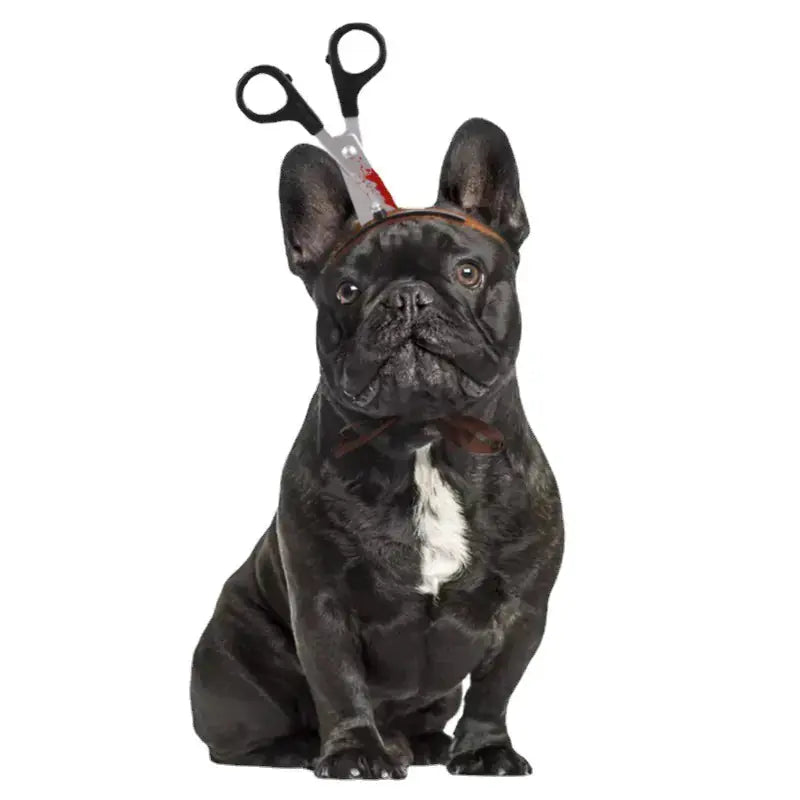 Tricky Props Pet Headdress Hat | Cat & Dog Costume