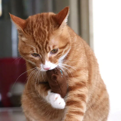 Plush Sound Cat Toy | Playful and Teething Cats