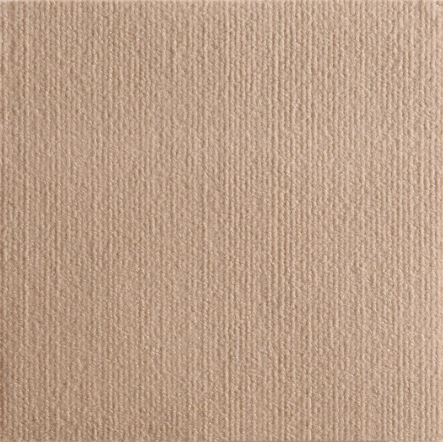 Cat Scratcher Sofa Protector Cats Scratcher Pad textured surface showing beige color and subtle patterns.