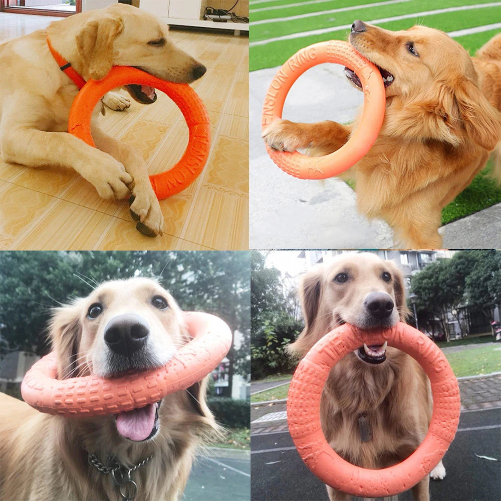 Orange Dog Training Ring Puller | Durable EVA Flying Disk Toy