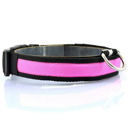 LED Dog Collar with Light Strip for Illumination | Night Safety