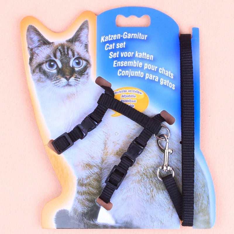 Hot-selling cat chest strap simple design