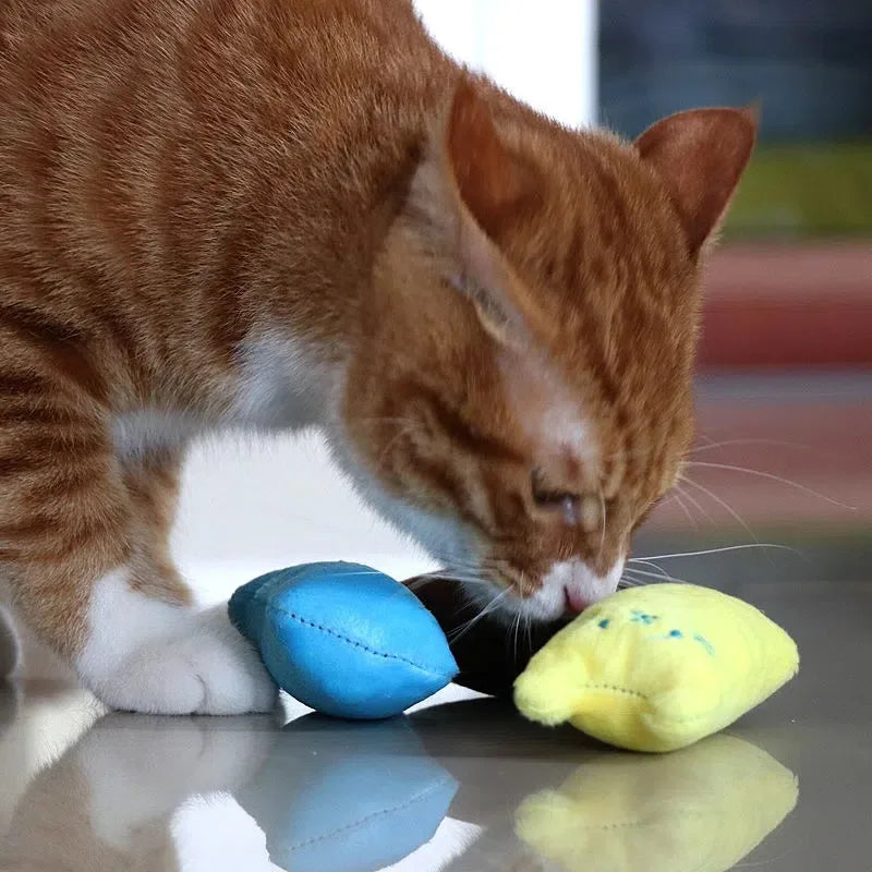 Plush Sound Cat Toy | Playful and Teething Cats