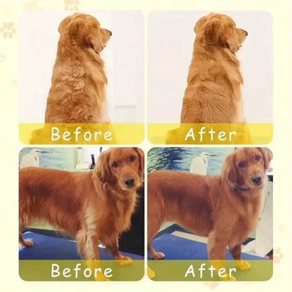 3-in-1 Electric Pet Brush | Dog & Cat Grooming Tool