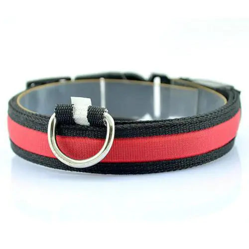 LED Dog Collar with Light Strip for Illumination | Night Safety
