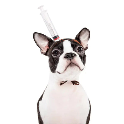 Tricky Props Pet Headdress Hat | Cat & Dog Costume