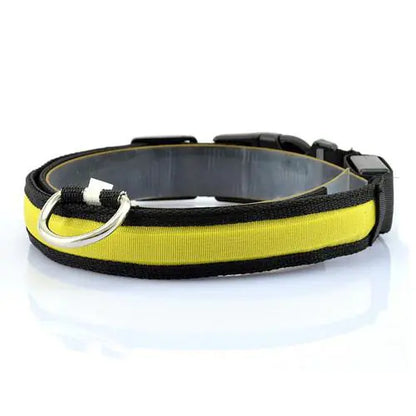 LED Dog Collar with Light Strip for Illumination | Night Safety