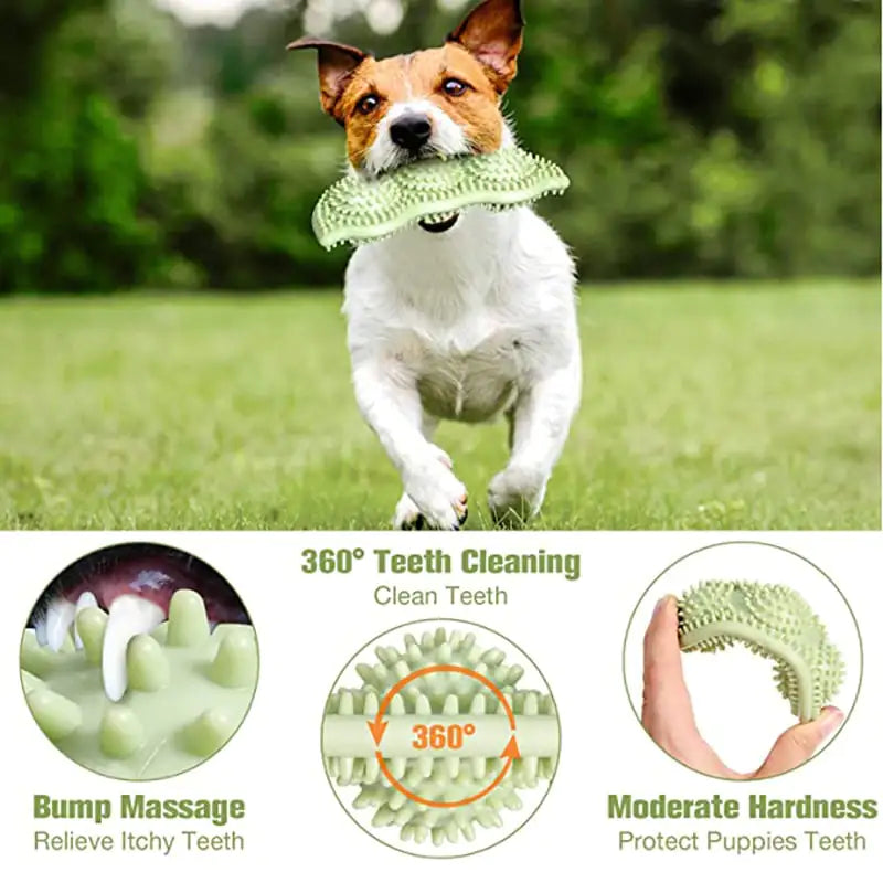 Bite-Resistant Dog Toy Ball for Interactive Chewing