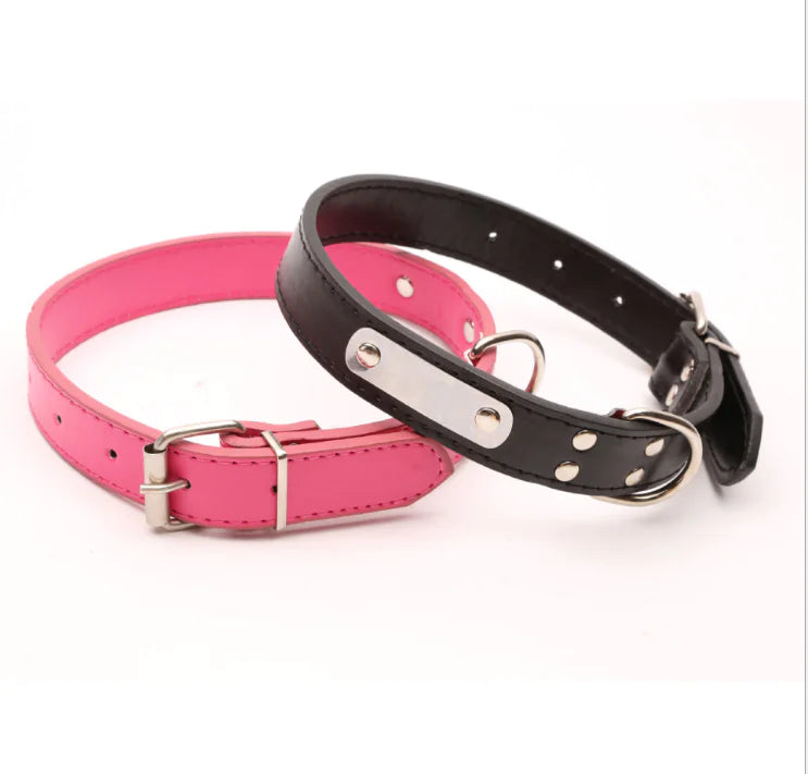 Personalized Dog Collar - Pet Accessories | Custom Pet Collar