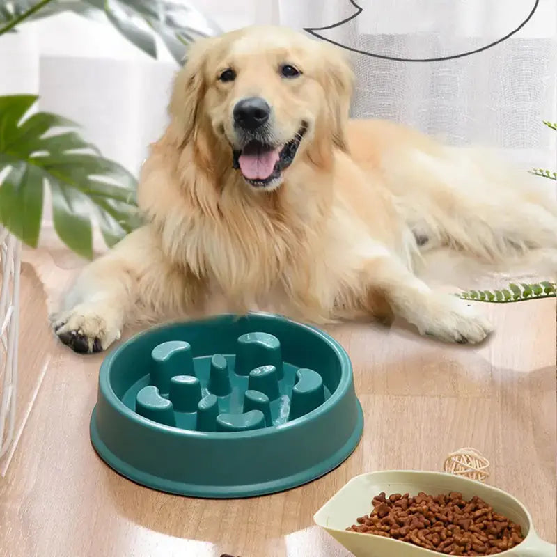 Petal-Shaped Slow Feed Dog Puzzle Bowl - Anti-Slip | Healthy Eating