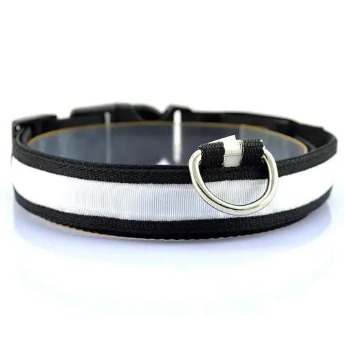 LED Dog Collar with Light Strip for Illumination