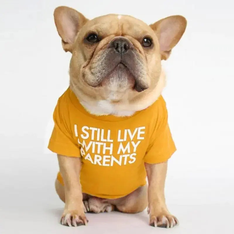 Fadou Turtleneck Round Neck T-shirt for Pets Fluffy Friends
