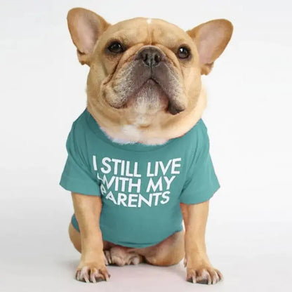 Fadou Turtleneck Round Neck T-shirt for Pets Fluffy Friends