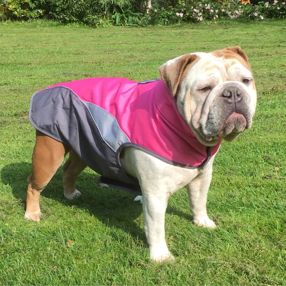 Waterproof Outdoor Pet Jacket | Raincoat for Dogs & Cats
