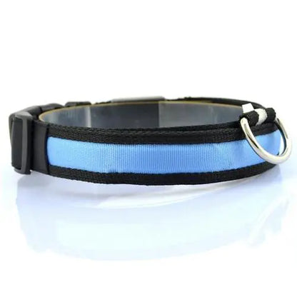 LED Dog Collar with Light Strip for Illumination | Night Safety