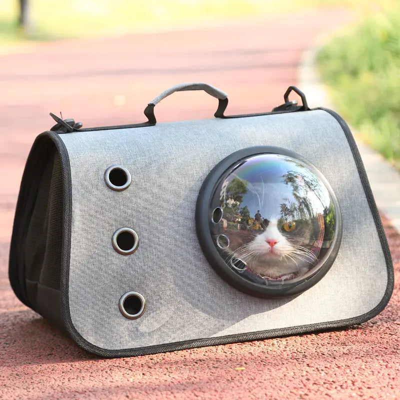 Foldable Cat Backpack with Breathable Mesh Design | Portable Pet Carrier