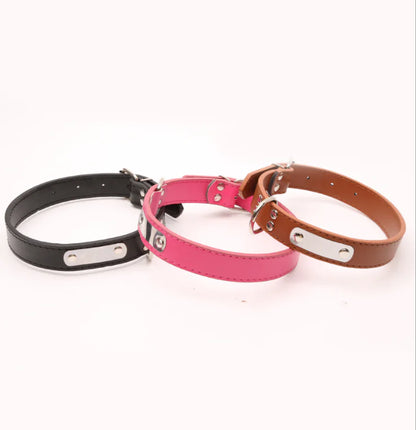 Personalized Dog Collar - Pet Accessories | Custom Pet Collar