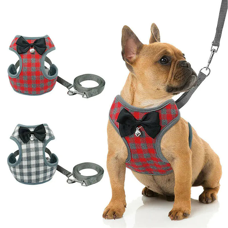 Dog Leash with Checkered Bowtie Harness for Pets | Stylish Pet Harness