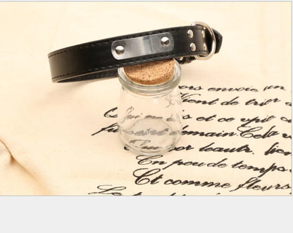 Personalized Dog Collar - Pet Accessories | Custom Pet Collar