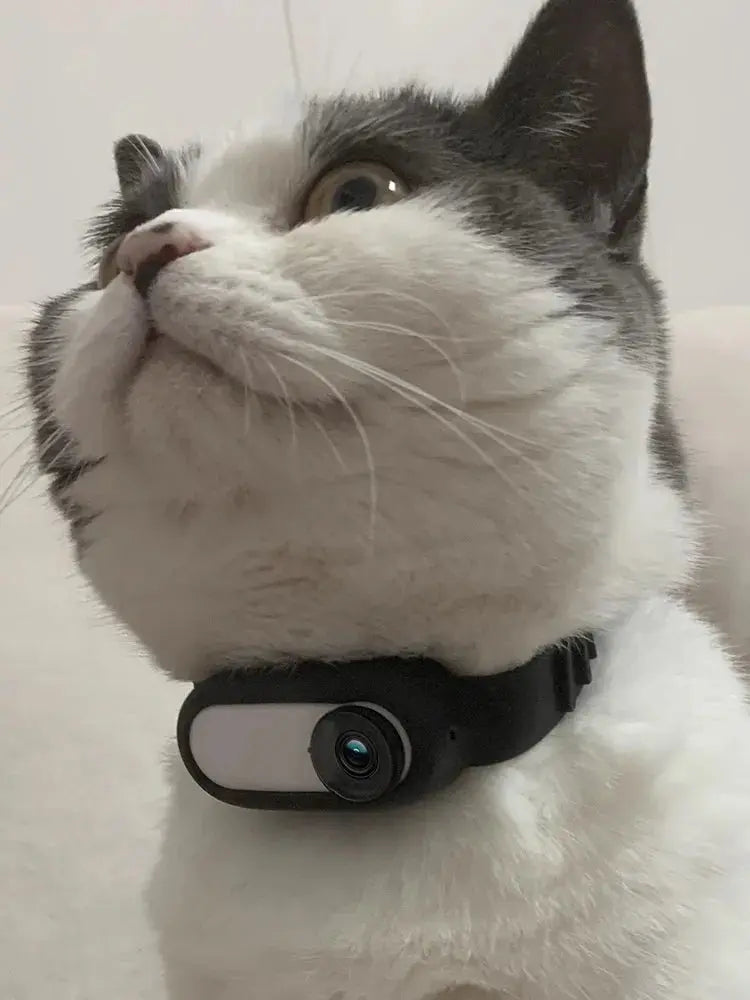 Wireless Pet Collar Camera for Cats and Dogs Fluffy Friends