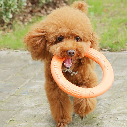 Orange Dog Training Ring Puller | Durable EVA Flying Disk Toy