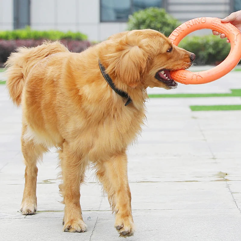 Orange Dog Training Ring Puller | Durable EVA Flying Disk Toy