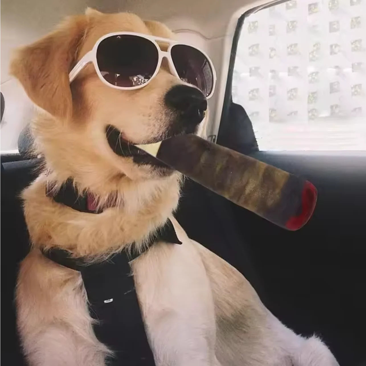 Cigar Design Plush Squeaky Dog Toy | Funny Interactive Chew Toy