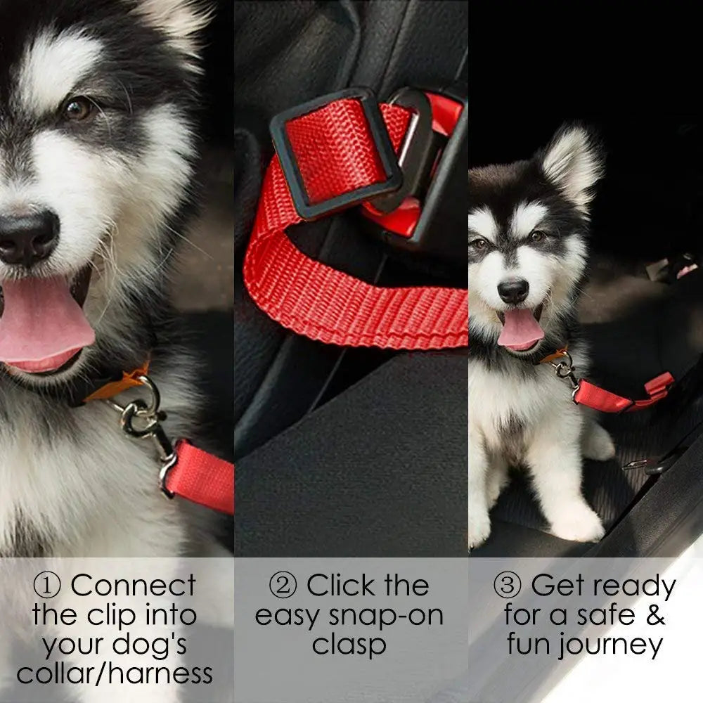 Pet Car Seat Belt & Harness | Safe Travel for Dogs & Cats