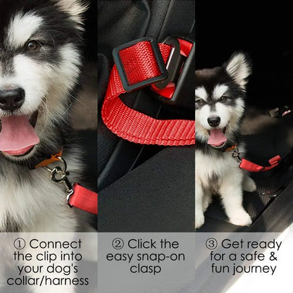 Pet Car Seat Belt & Harness | Safe Travel for Dogs & Cats