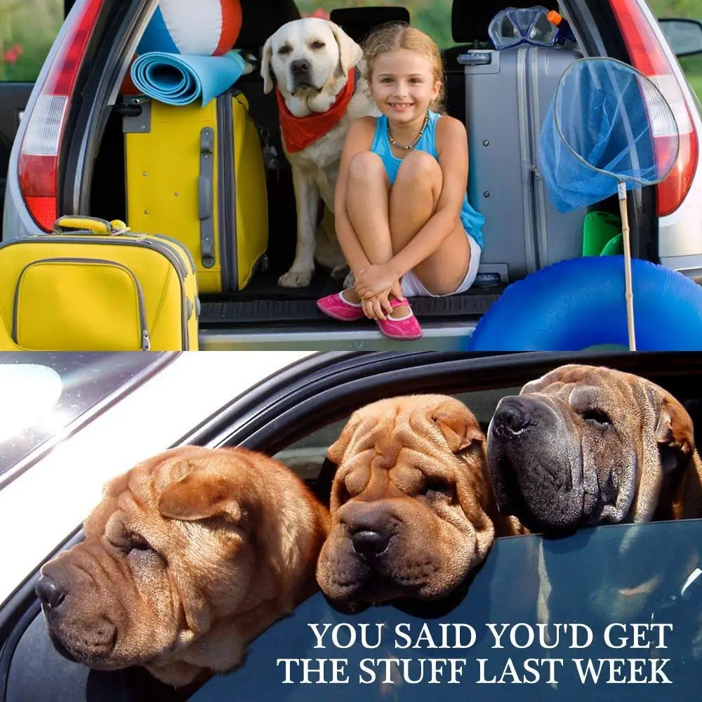 Pet Car Seat Belt & Harness | Safe Travel for Dogs & Cats