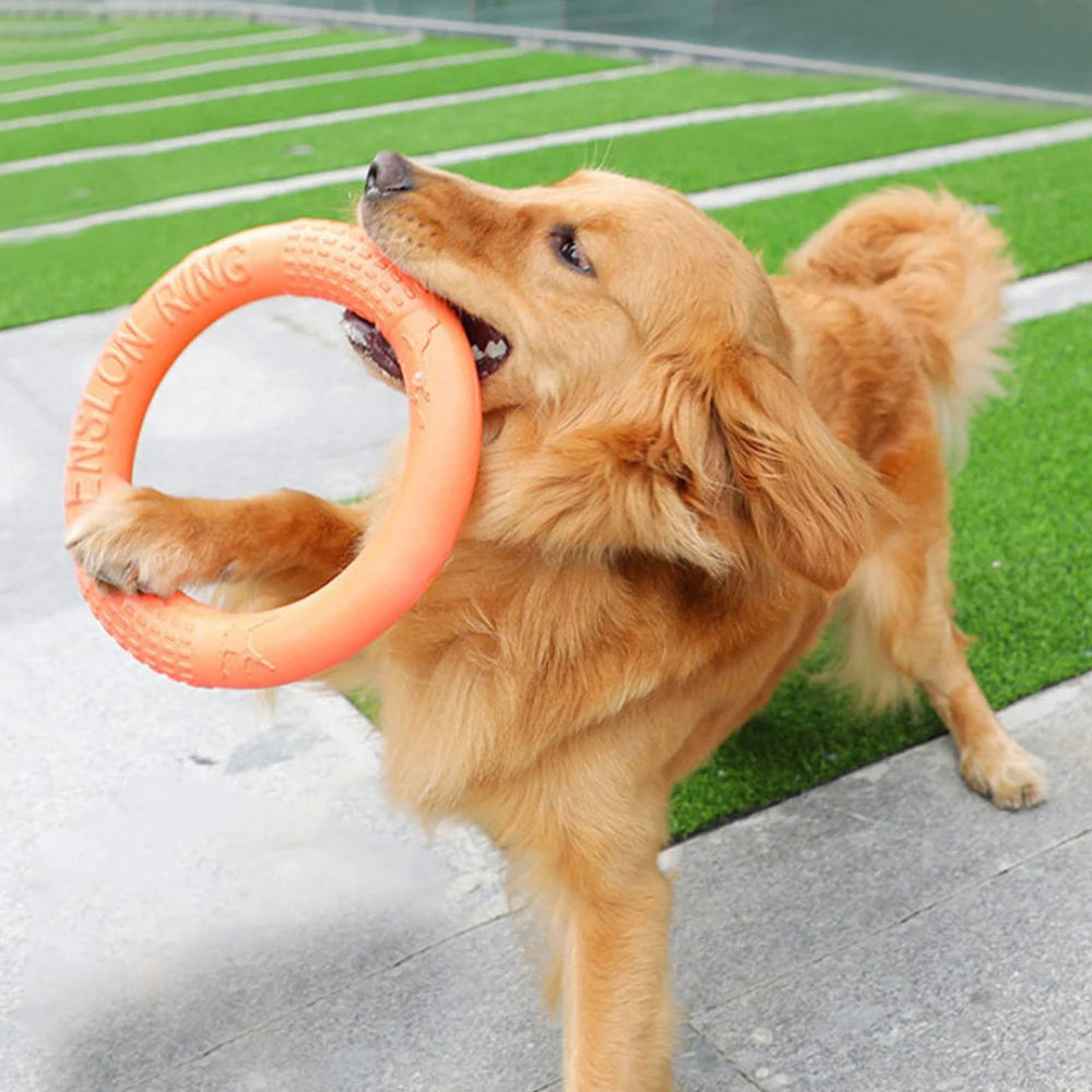 Orange Dog Training Ring Puller | Durable EVA Flying Disk Toy