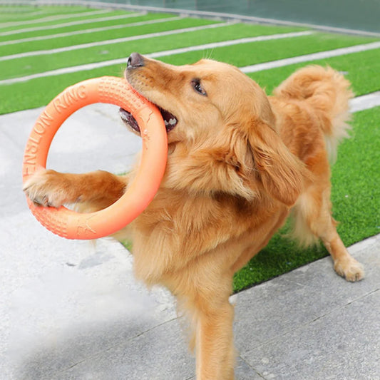 Orange Dog Training Ring Puller | Durable EVA Flying Disk Toy