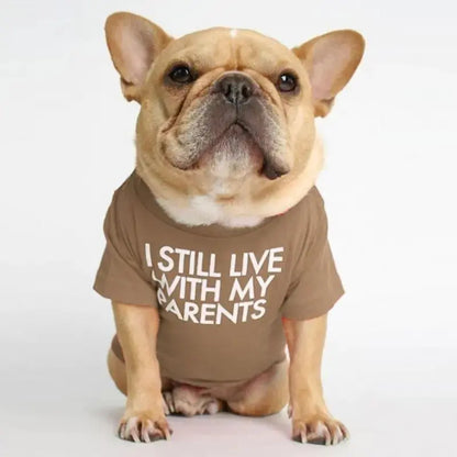 Fadou Turtleneck Round Neck T-shirt for Pets Fluffy Friends