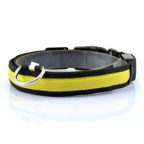 LED Dog Collar with Light Strip for Illumination | Night Safety