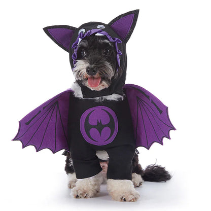Small dog in a purple bat costume, perfect for Halloween Dog Costumes for pet festivities.