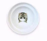 Spine Protection Bowl Holder for Cat Food and Water | Elevated Pet Feeder