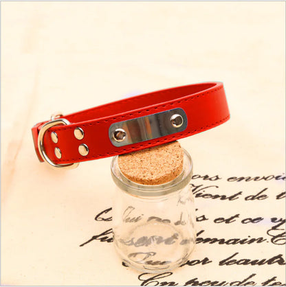 Personalized Dog Collar - Pet Accessories | Custom Pet Collar