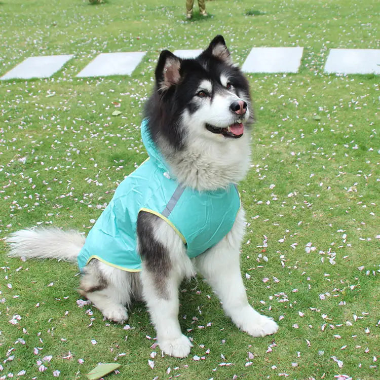 Big Dog Raincoat with Reflective Strips for Pets | Waterproof Jacket