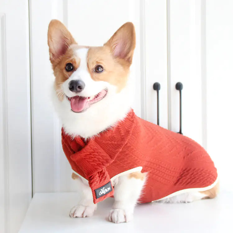 Vintage Twist Pet Sweater for Dogs | Cozy Dog Apparel