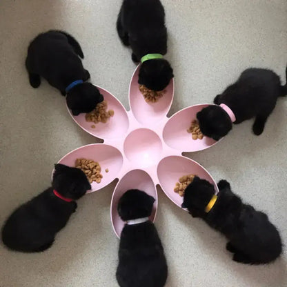 Pet Dinner Plate Fluffy Friends